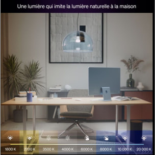 Ampoule LED connectée PHILIPS HUE E27 White&Color Ambiance pack de 2