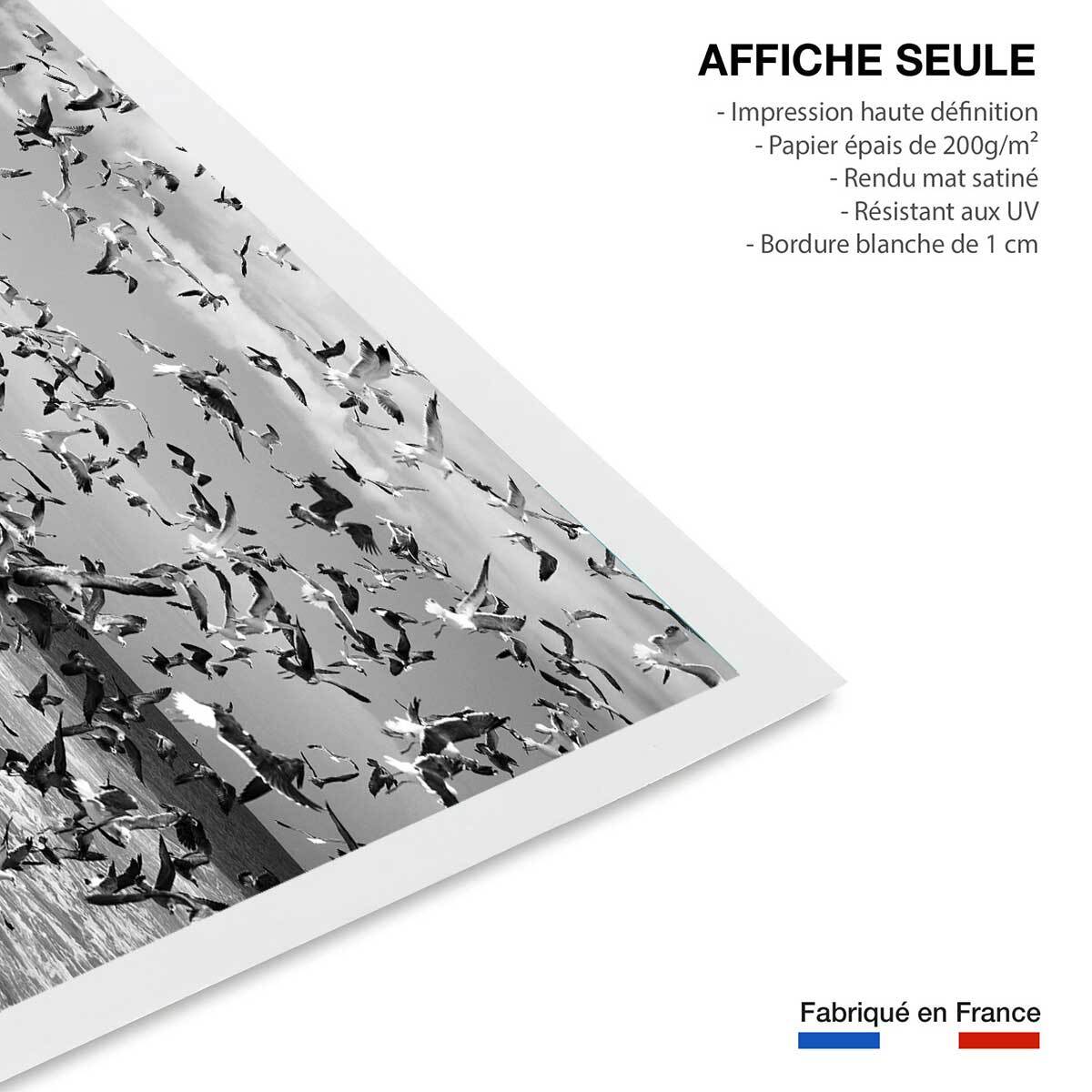 Poster festin de mouettes Affiche seule