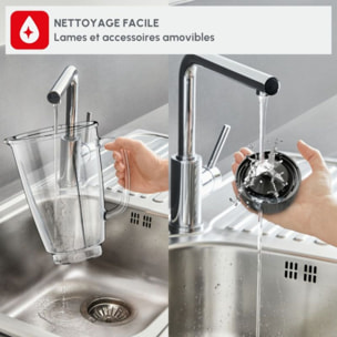 Blender MOULINEX blendforce 2 LM439D10