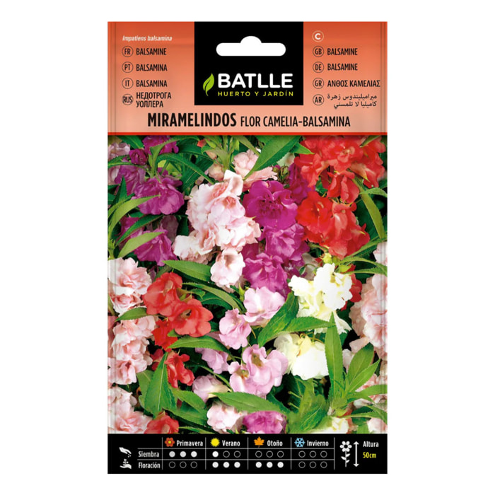 Semillas de Miramelindos flor Camelia Balsamia Batlle