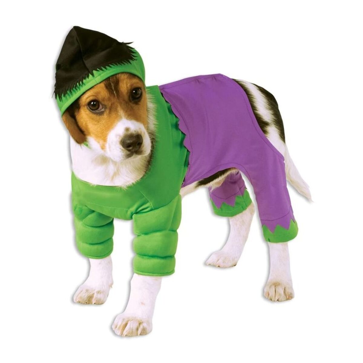 DISFRAZ HULK MASCOTA