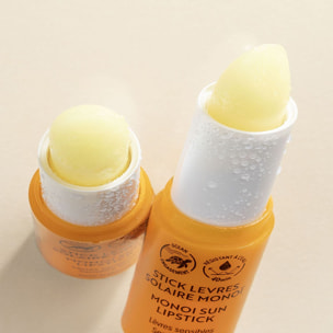Baume-en-Huile SPF 50 - Stick Lèvres 4 g