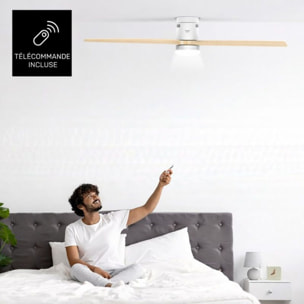 Ventilateur plafonnier TAURUS POLAR 3B