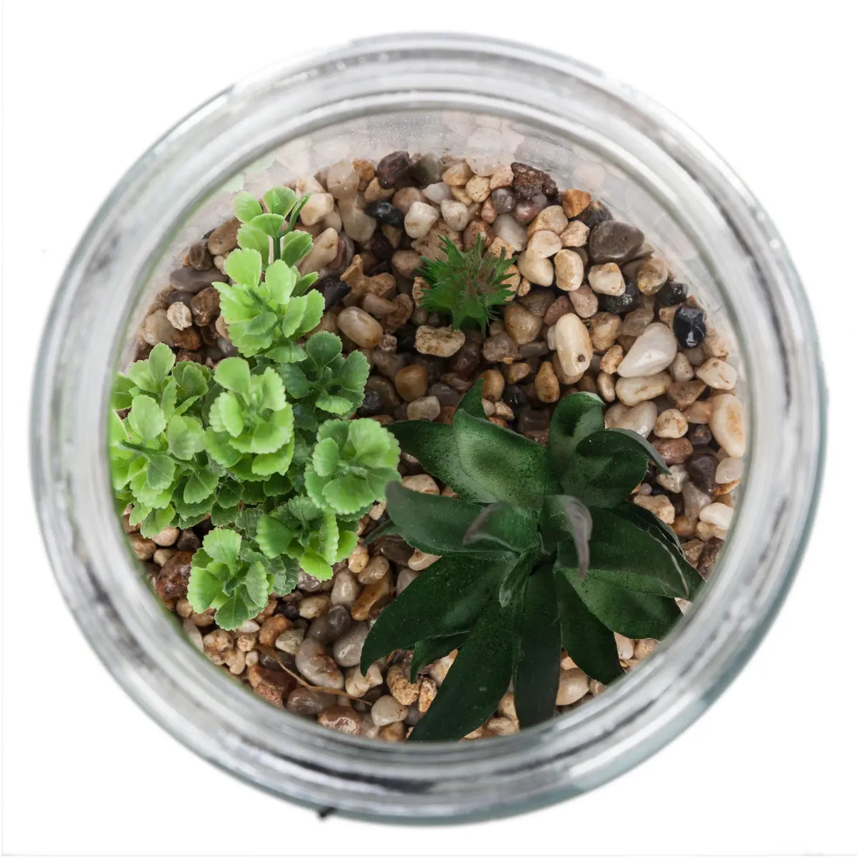 Terrarium avec plante artificielle - pot en verre et couvercle en bois - H22 cm