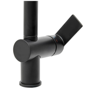 B-Way mitigeur de cuisine sur pied avec douchette extractible, noir mat (SATBSBW185)