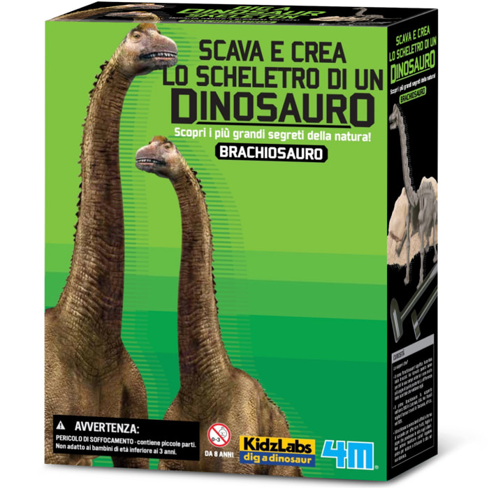 Scava e crea lo scheletro di un Brachiosauro