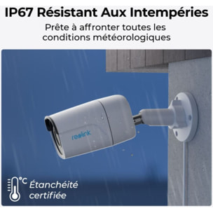 Caméra de surveillance REOLINK P320 PoE