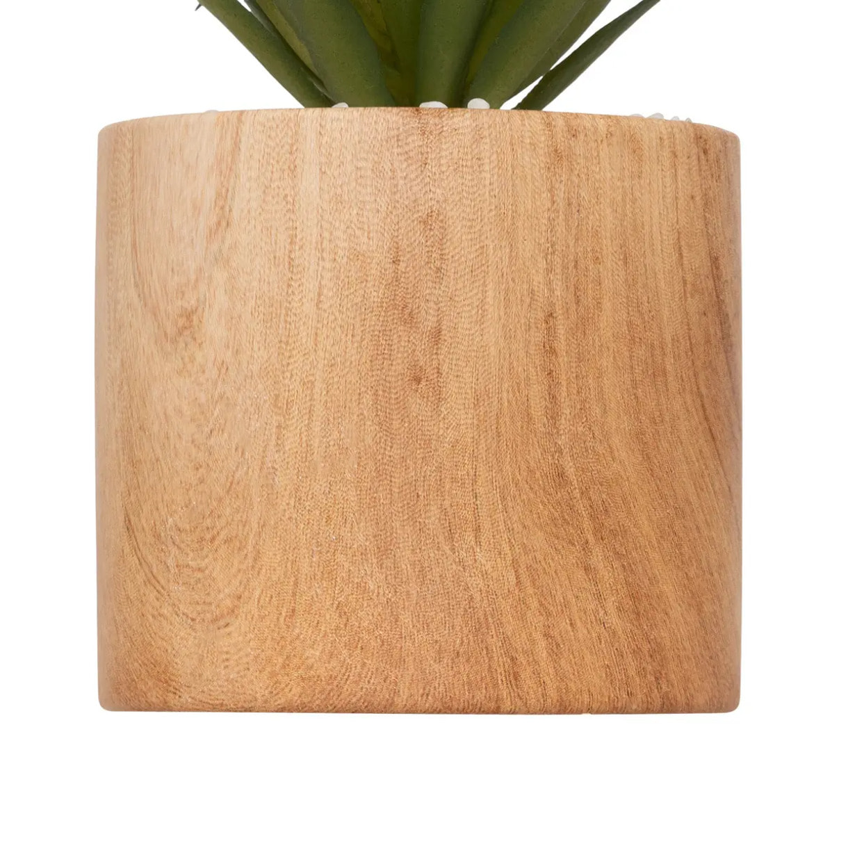 Plante artificielle "Sao" marron H17cm