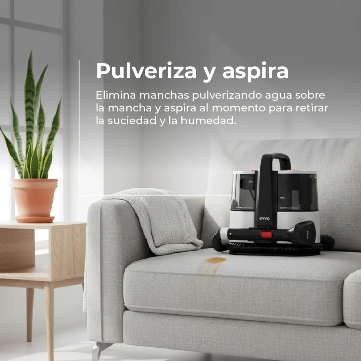 Limpiatapicerías EVVO AM65, 600W, Depósito 1.5L, Accesorios XXL y Ventanas, Doble Depósito