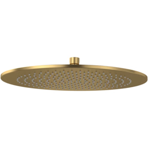 Douche de tête 350 Universal ronde Brushed Gold