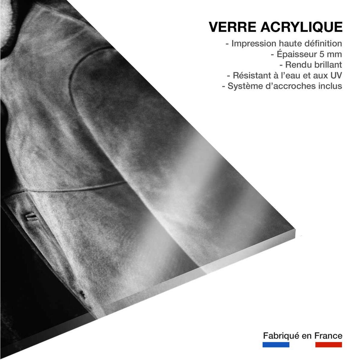 Tableau noir et blanc Photo Romy Schneider et Alain Delon Tableau plexiglas