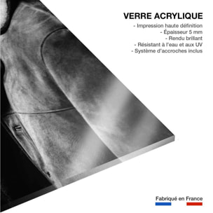 Tableau noir et blanc Photo Romy Schneider et Alain Delon Tableau plexiglas