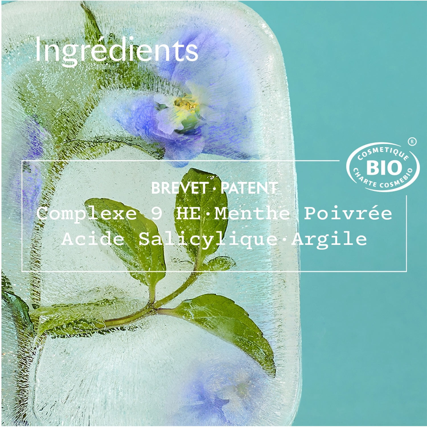 Masque Magnifica - Argile Purifiante 75 ml
