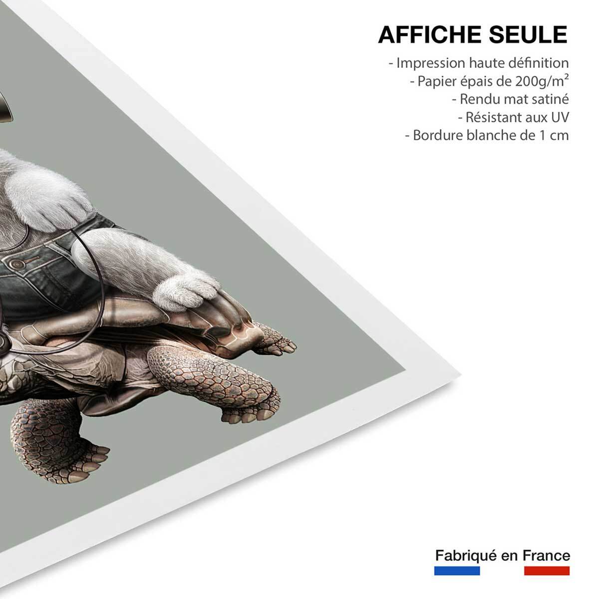 Affiche enfant chat sur une tortue  Affiche seule