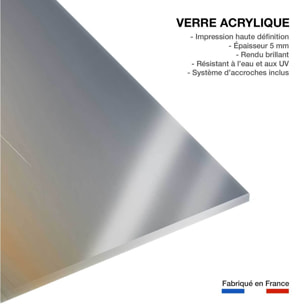 Tableau animaux flamands bleus Tableau plexiglas