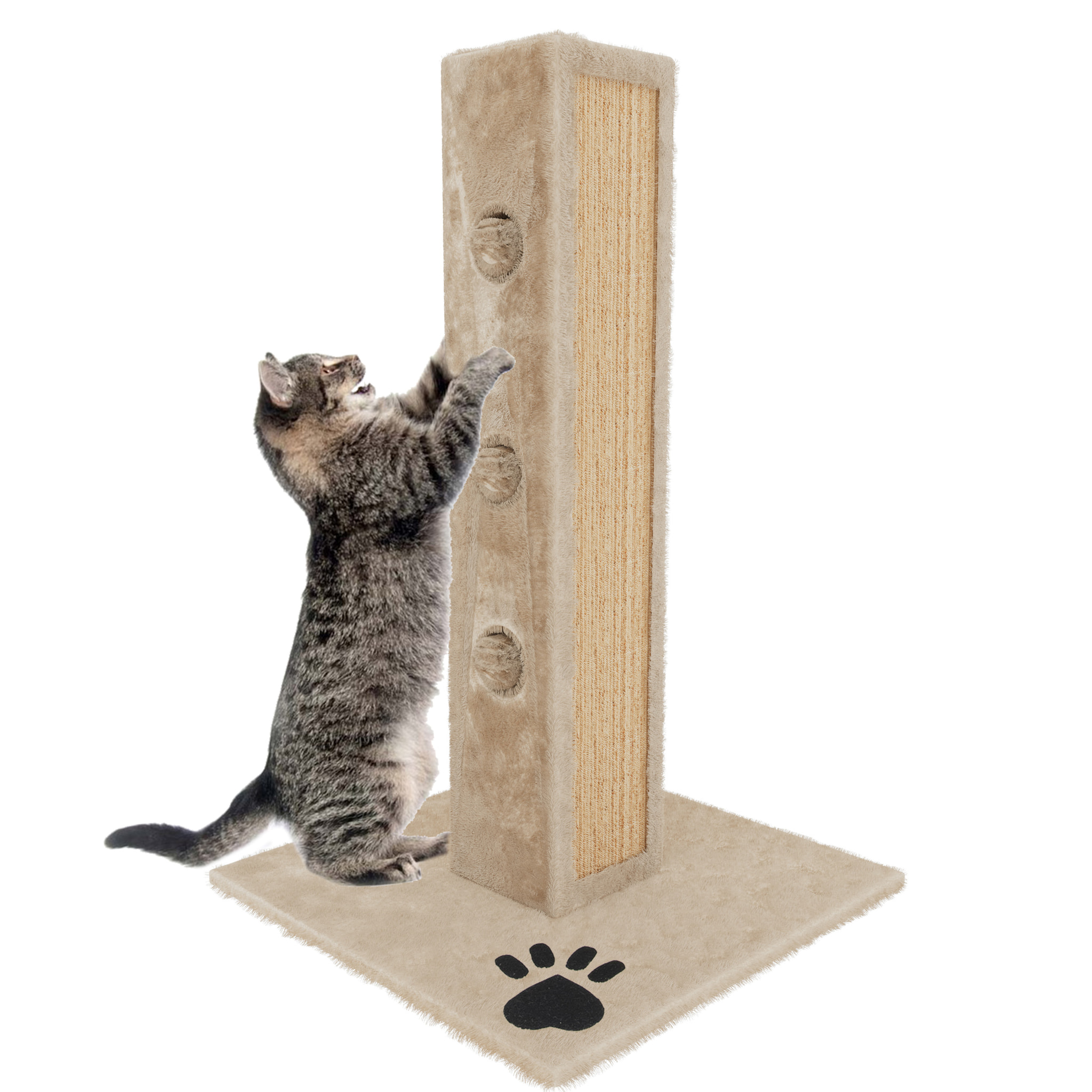 Albero per Gatto con Graffiatoio Cuccia Giocattolo Gatti Parco Giochi Tiragraffi in Sisal Naturale 80 x 45 x 45 cm Colore Beige Dixie
