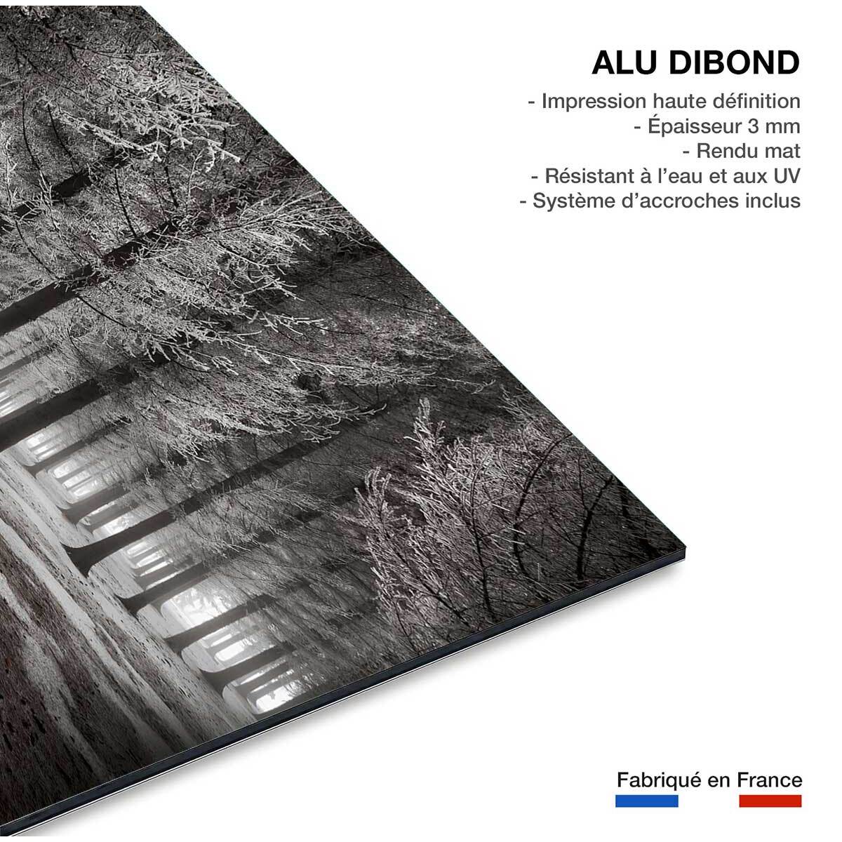 Tableau deco debut d'hiver Tableau alu Dibond