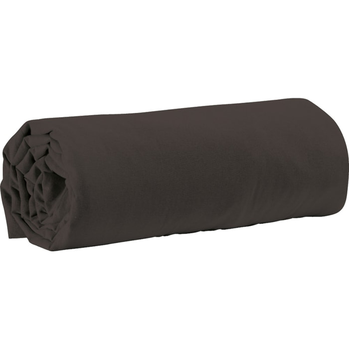 Drap housse coton blanc