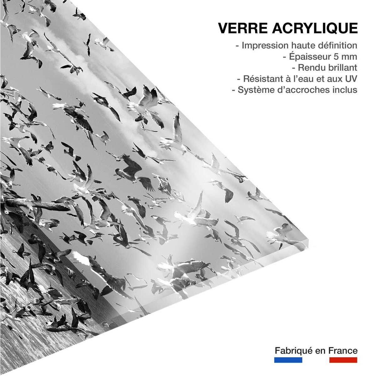Tableau festin de mouettes Tableau plexiglas