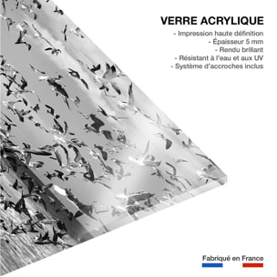 Tableau festin de mouettes Tableau plexiglas