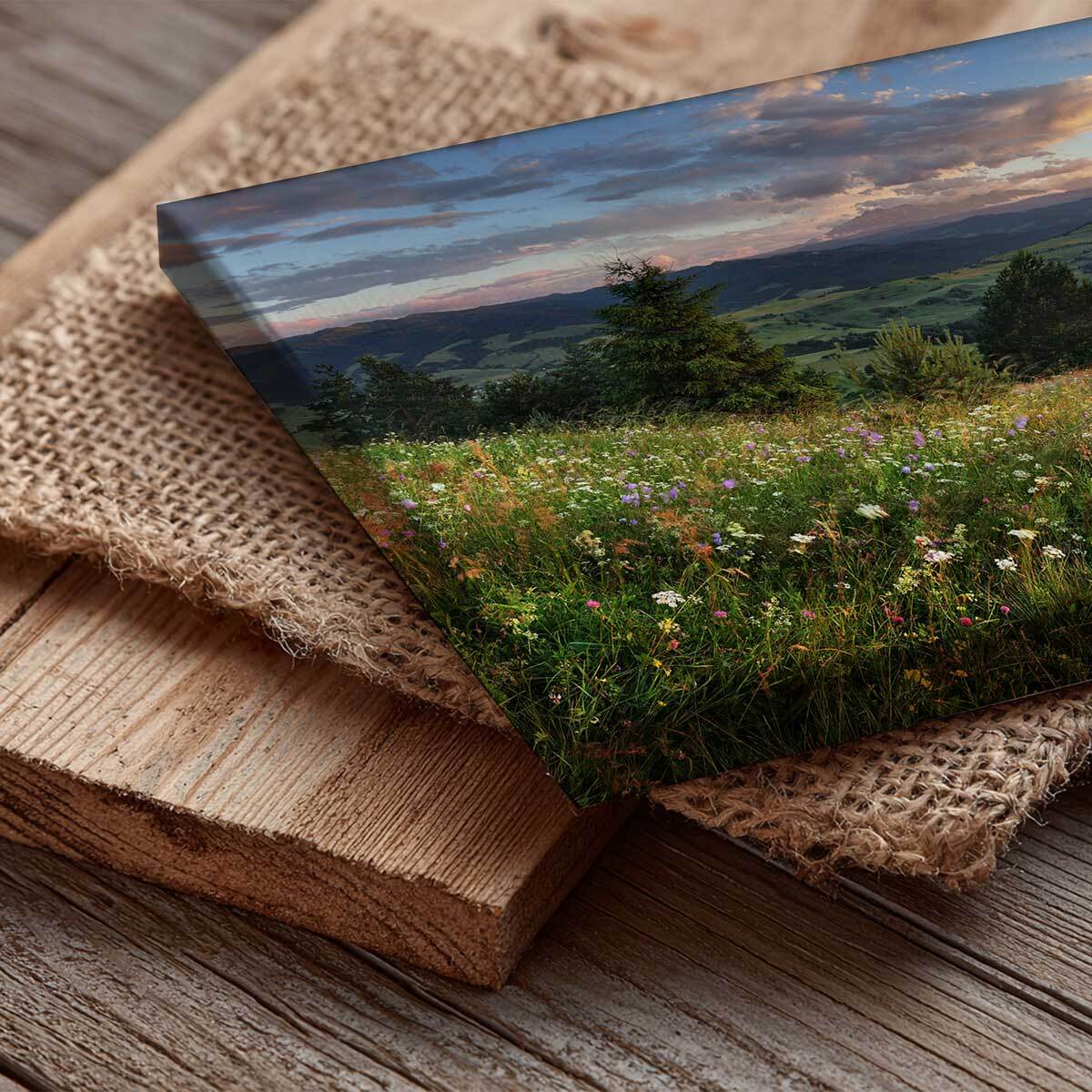 Tableau panoramique prairie fleurie et coucher de soleil campagne Toile imprimée