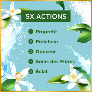 4x25 Pods Tout-en-1 Fleur De Citronier, Lessive en Capsules Dash