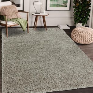 Tapis poils longs shaggy tissé motif uni RIBI