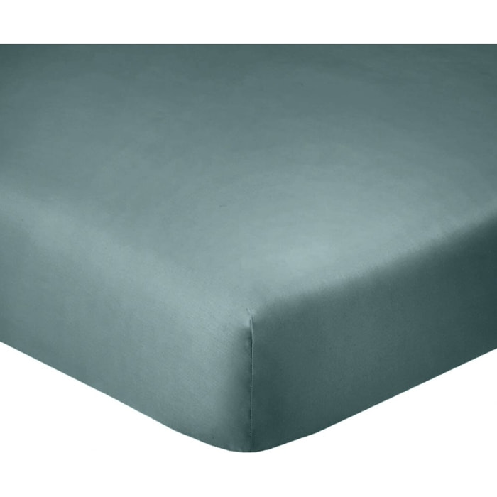 Drap housse coton bleu, canard