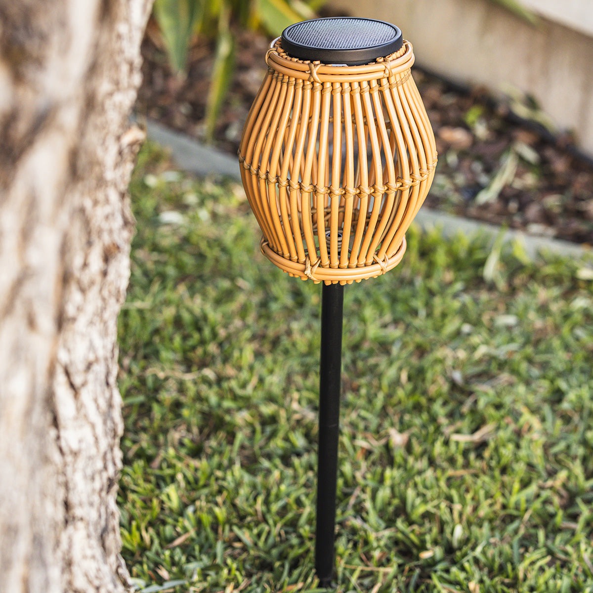 Balise solaire à piquer SILVINA H70CM