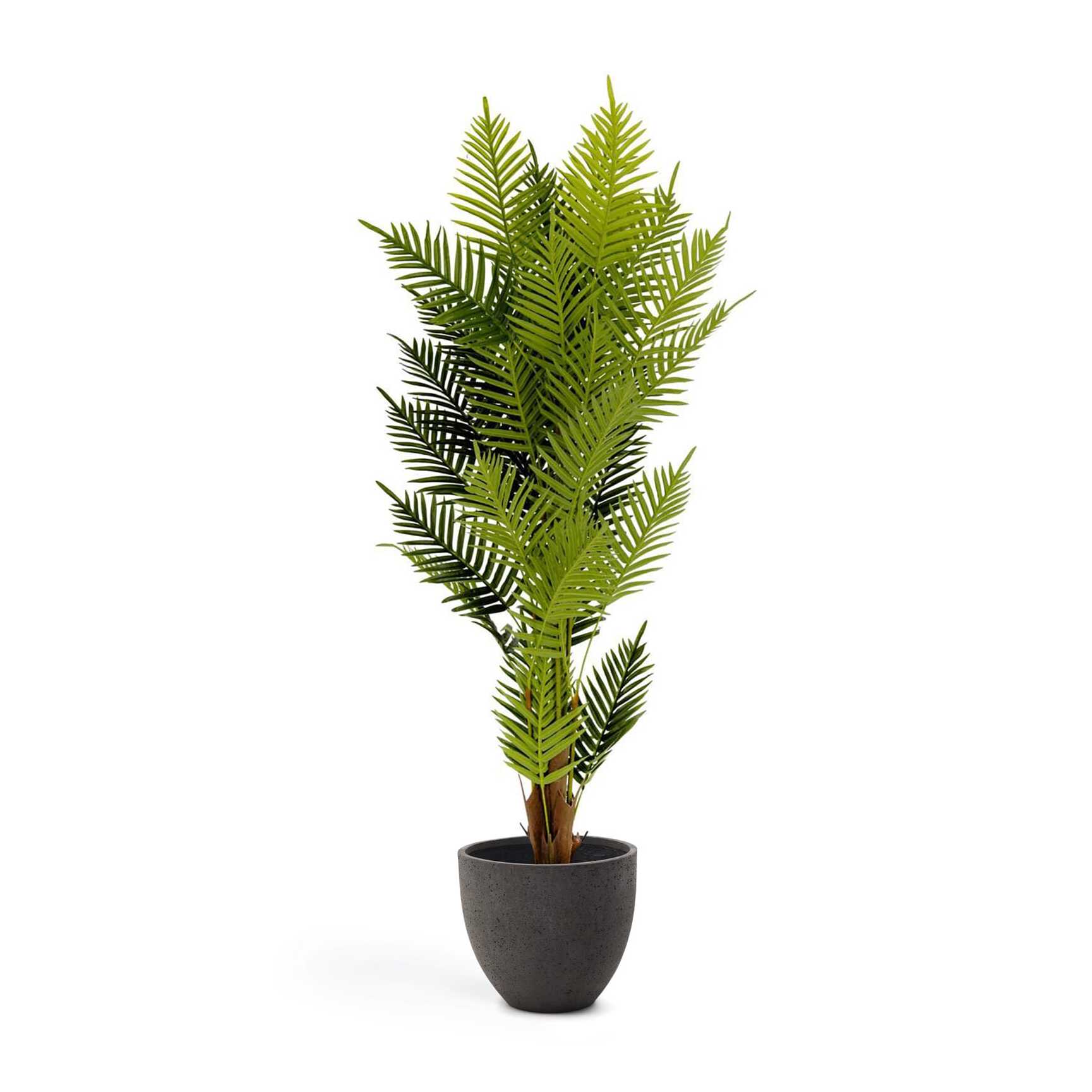 Plante Artificielle 150 Cm Pierre / Céramique PALMERA