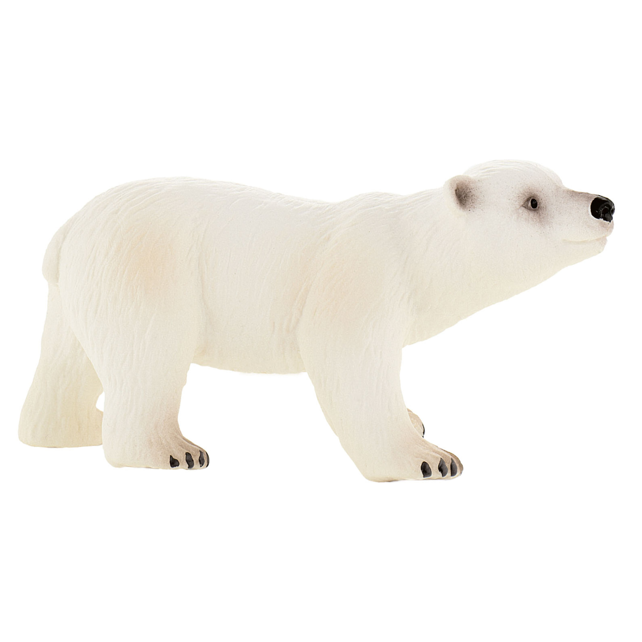 Mondo Marino/Cucciolo di orso polare