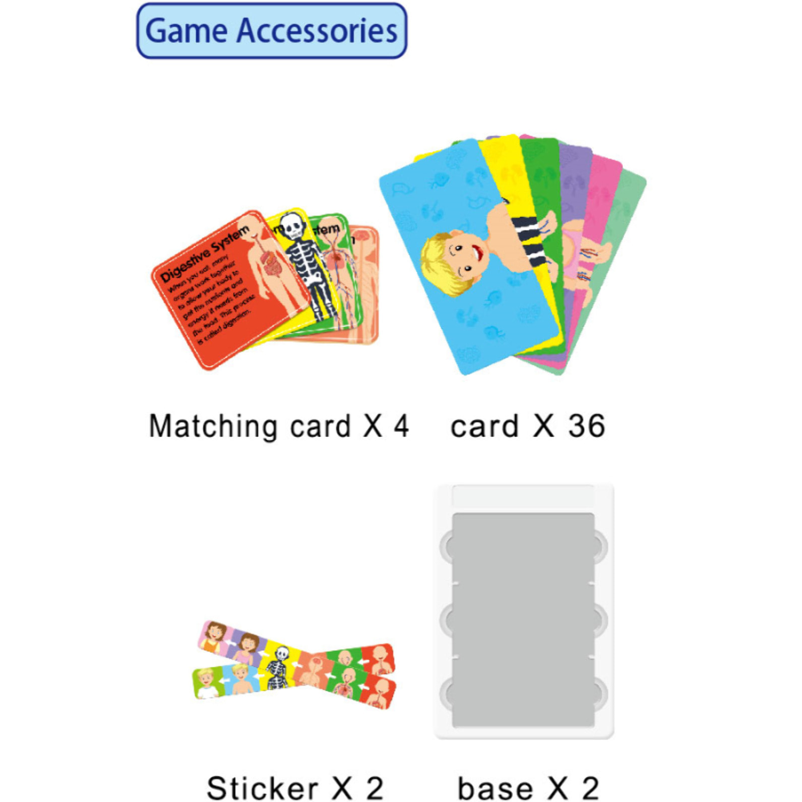 APRENDE EL CUERPO HUMANO