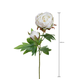 Peonia Per 2 Fiori 60 Cm - Pezzi 6 - 17,8X60X27,9cm - Colore: Bianco - Bianchi Dino - Fiori Artificiali