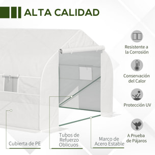 Invernadero de Jardín 600x300x200cm Tipo Túnel para Cultivo Plantas y Verduras