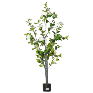 HOMCOM Árbol de Camelia Artificial 150 cm con Maceta de Cemento 285 Hojas Realistas y 25 Flores de Tela Planta Sintética Decoración para Hogar Oficina y Exterior Verde