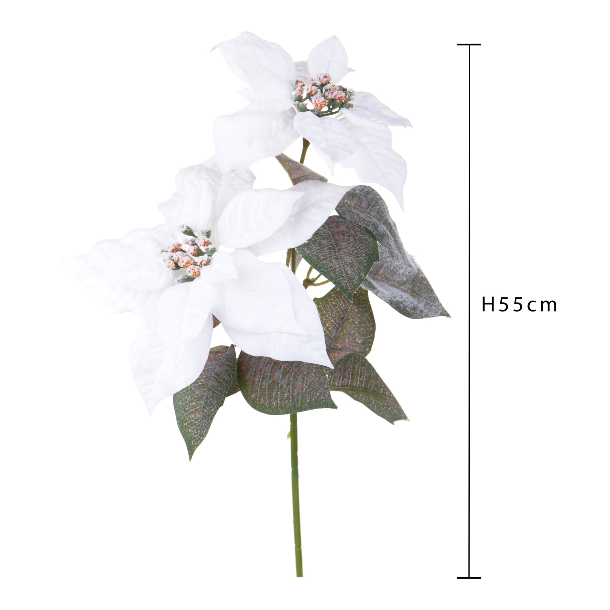 Stella natale - Pezzi 12 - 12xH55x12cm - Bianchi Dino SpA