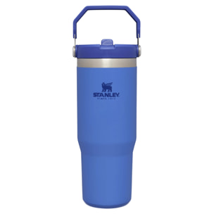 Botella de agua Isotermica Con Pajita - 0,89L - ICEFLOW™ FLIP STRAW TUMBLER 1,0 - Iris