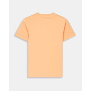 CAMISETA ICON COLORS