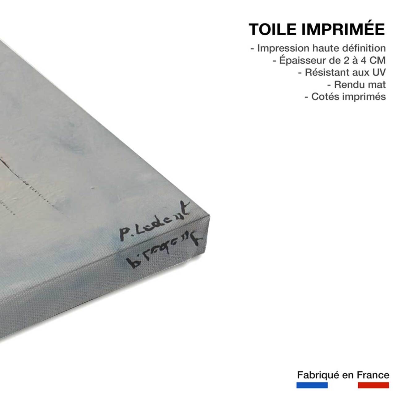 Tableau nue de dos Toile imprimée
