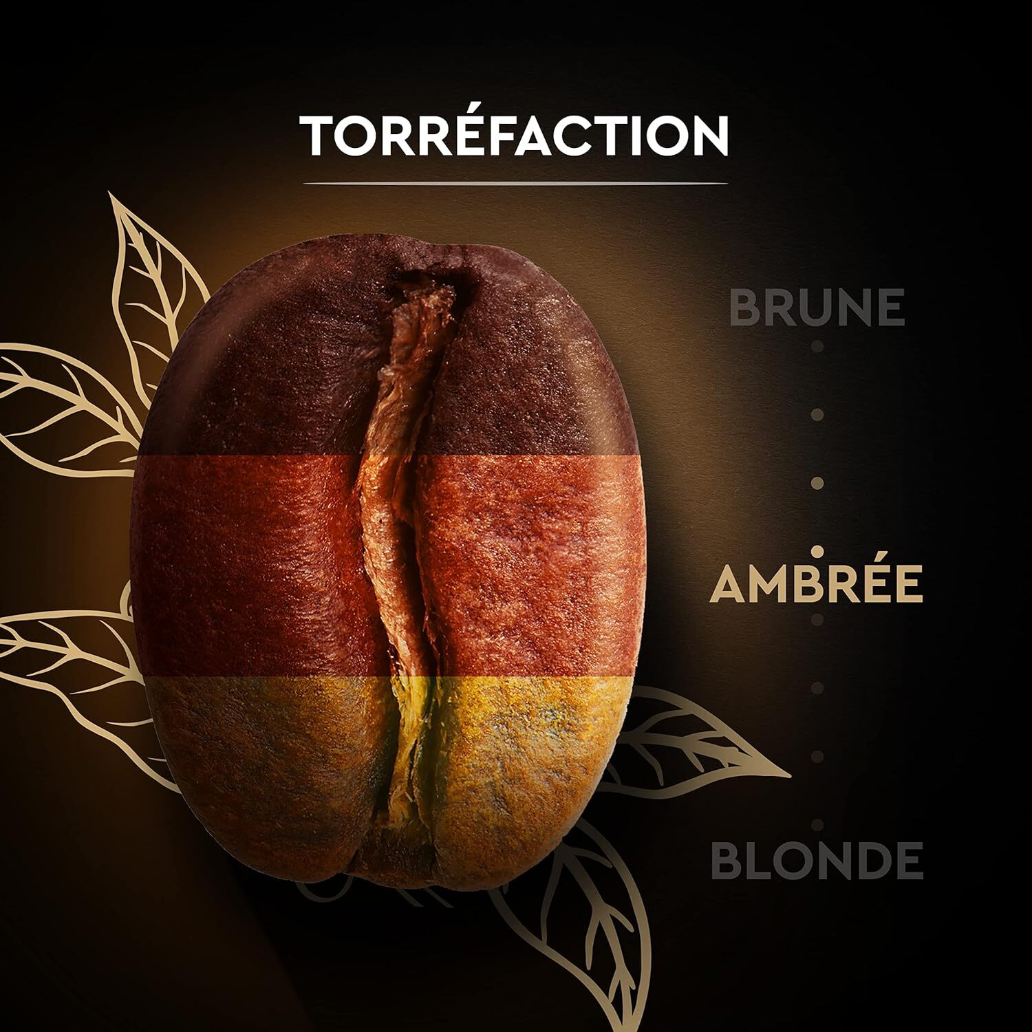 Grains Classique  - 100 % Arabica - Certifié Rainforest Alliance - 1 kg