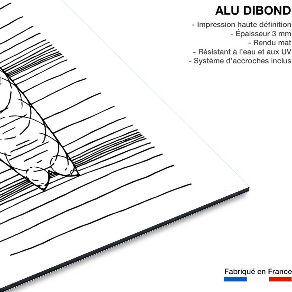 Tableau surf géo Tableau alu Dibond