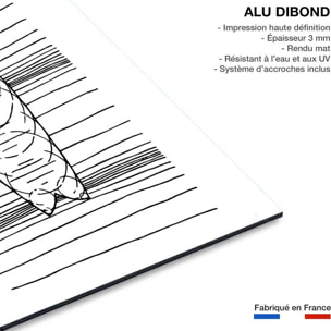 Tableau surf géo Tableau alu Dibond