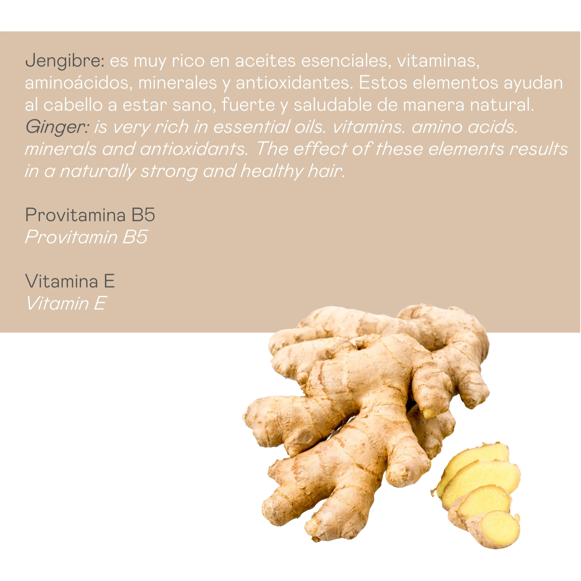 Valquer Champú jengibre Ginger Strong - 1000 ml