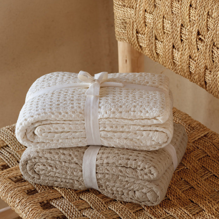 Plaid en coton gaufré - Ecru
