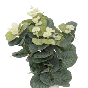 Composition eucalyptus avec vase "Suza" H37cm