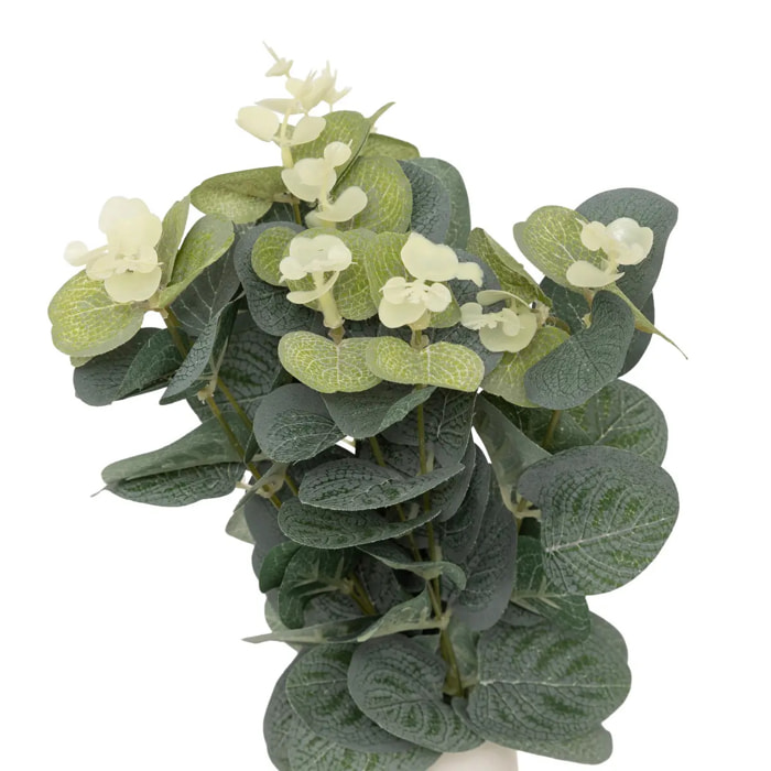 Composition eucalyptus avec vase "Suza" H37cm