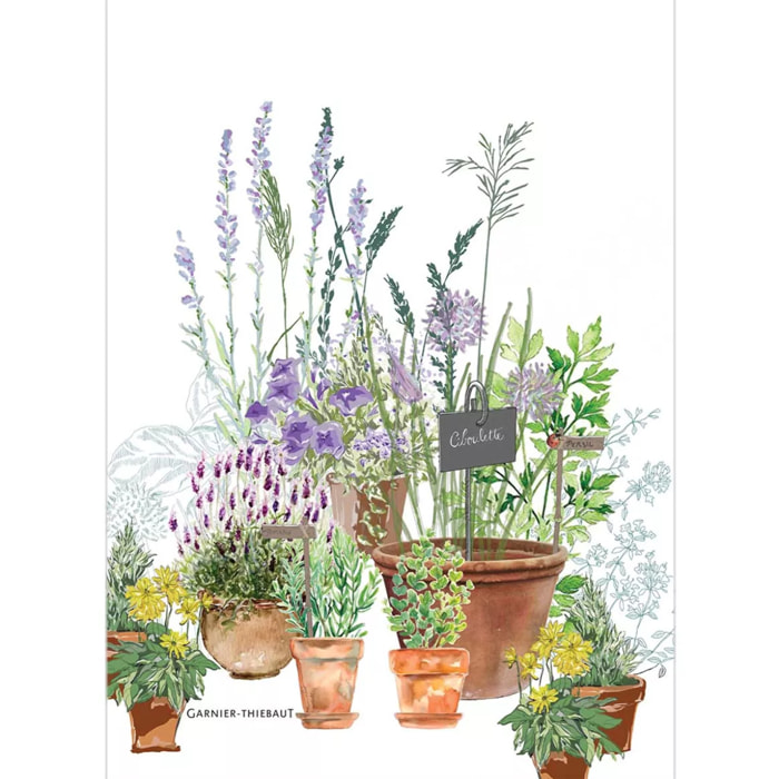 Torchon lin & coton lavé 190 g/m² imprimé multicolore Jardin aromatique provence