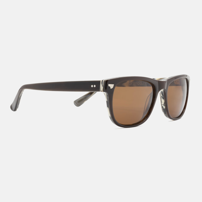 Gafas de Sol de Acetato Superdry Brando C103 Unisex Talla 53 mm