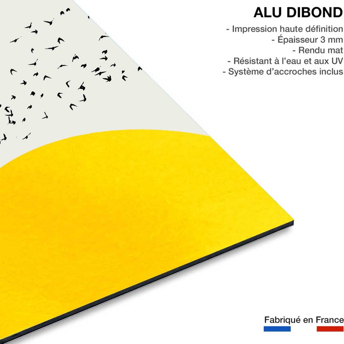 Tableau dessin 1000 oiseaux Tableau alu Dibond