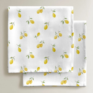 Lot de 2 serviettes Bettina 924-4